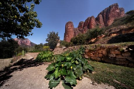 Il Venerdí di Photosatriani N. 247