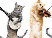 vídeos simpáticos animales tocando piano (gatitos, perritos...)