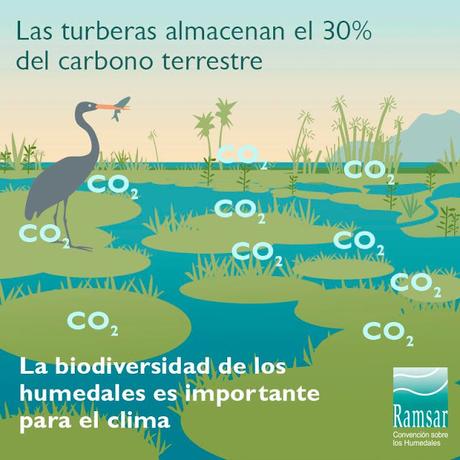 Día Mundial de los Humedales