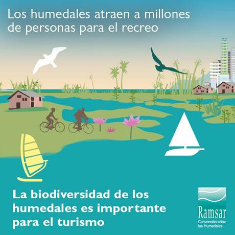 Día Mundial de los Humedales