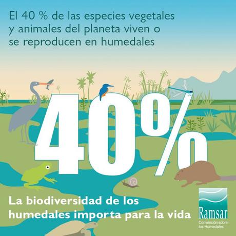 Día Mundial de los Humedales