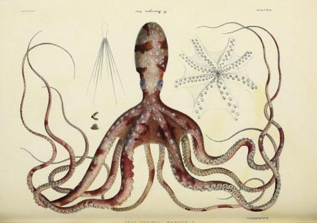 Biodiversidad. Biodiversidad.