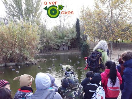 El placer de ver a las aves en el agua El placer de ver a las aves en el agua