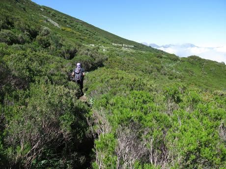 La Romía-La Paradiel.la-Escuenas