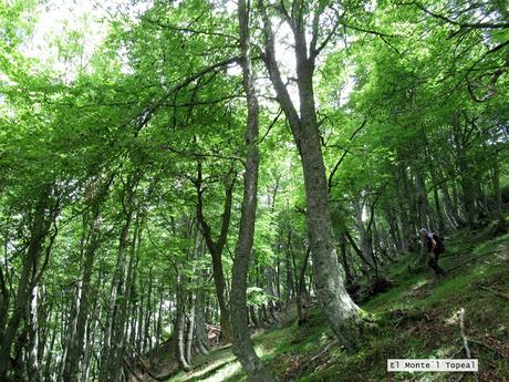La Romía-La Paradiel.la-Escuenas