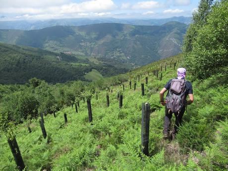 La Romía-La Paradiel.la-Escuenas