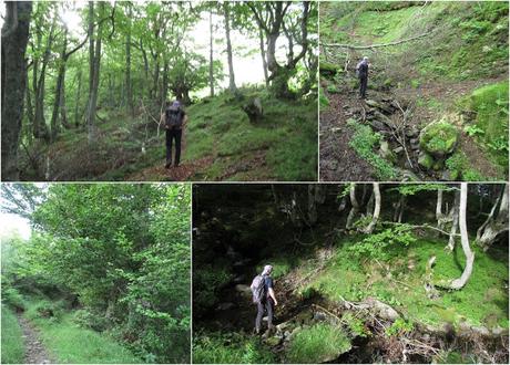 La Romía-La Paradiel.la-Escuenas