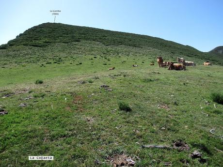La Romía-La Paradiel.la-Escuenas