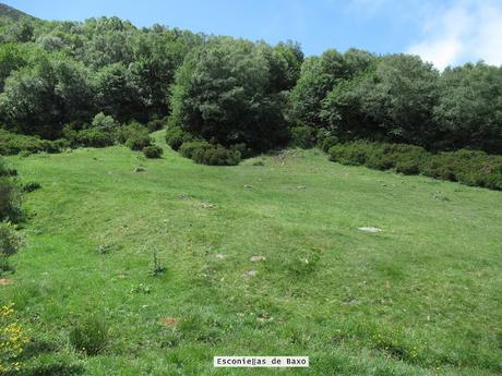 La Romía-La Paradiel.la-Escuenas