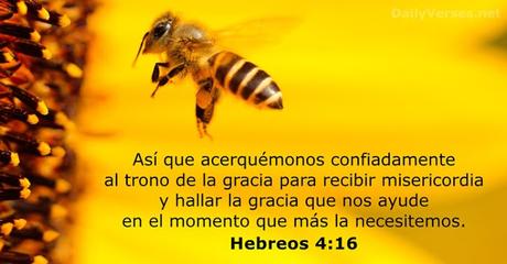 LA MISERICORDIA DE DIOS