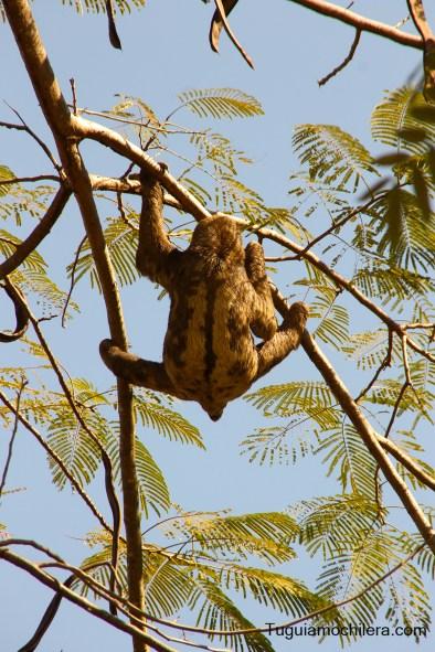 Trinidad: la selva desconocida de Bolivia Trinidad: la selva desconocida de Bolivia