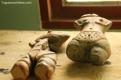 Trinidad: la selva desconocida de Bolivia Trinidad: la selva desconocida de Bolivia