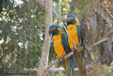 Trinidad: la selva desconocida de Bolivia Trinidad: la selva desconocida de Bolivia