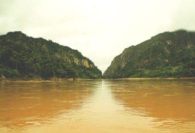 Selva de Bolivia: Rurrenabaque, Madidi, las Pampas del Yacuma y mucho más