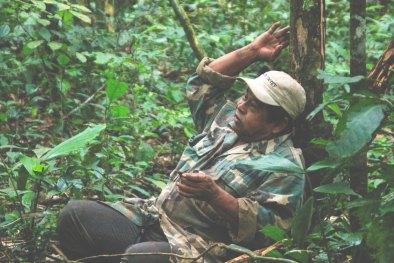 Selva de Bolivia: Rurrenabaque, Madidi, las Pampas del Yacuma y mucho más Selva de Bolivia: Rurrenabaque, Madidi, las Pampas del Yacuma y mucho más