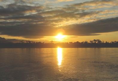 Selva de Bolivia: Rurrenabaque, Madidi, las Pampas del Yacuma y mucho más Selva de Bolivia: Rurrenabaque, Madidi, las Pampas del Yacuma y mucho más