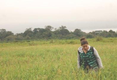 Selva de Bolivia: Rurrenabaque, Madidi, las Pampas del Yacuma y mucho más Selva de Bolivia: Rurrenabaque, Madidi, las Pampas del Yacuma y mucho más