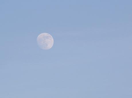 FAVORITOS DE ENERO ❥