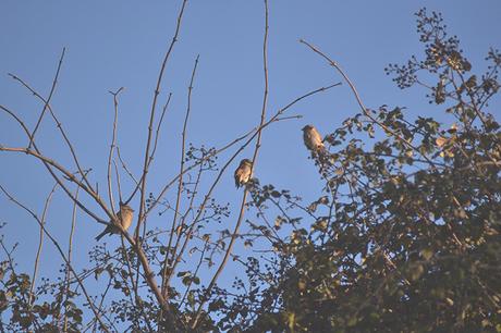 FAVORITOS DE ENERO ❥