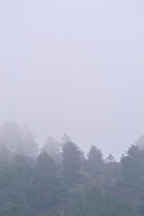 FAVORITOS DE ENERO ❥