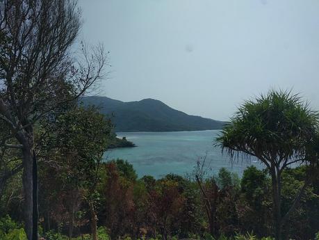 3 días de turismo en las islas de Karimunjawa IMG_20190825_093726