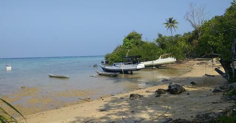 3 días de turismo en las islas de Karimunjawa IMG_20190825_145537