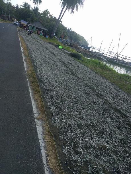 3 días de turismo en las islas de Karimunjawa IMG_20190825_143842