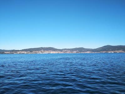 La soledad del corredor de fondo + Animación cortos Oscar 2020 + Alma de actor +I am not a hípster + Vigo + Recuerdos