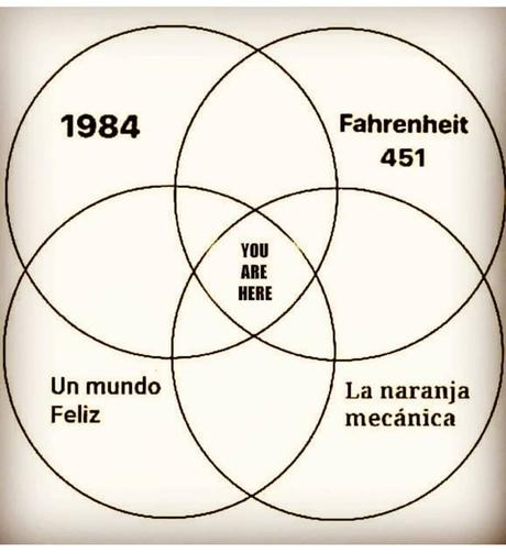 Solo un buen lector entiende la ironía Solo un buen lector entiende la ironía