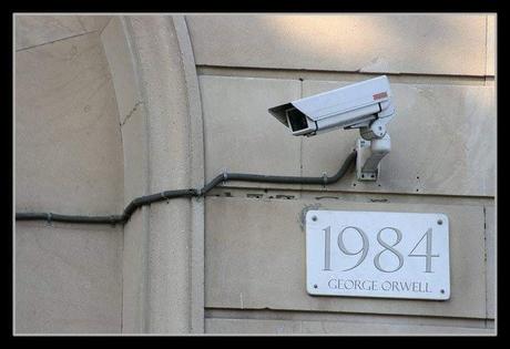 Solo un buen lector entiende la ironía