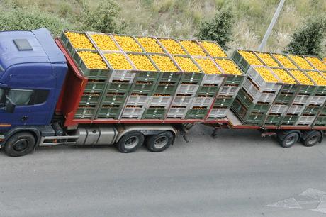 ¿Por qué las naranjas valen 20 céntimos en el campo y 2 euros en el super?