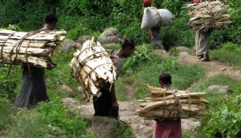 ¿Qué es la Mutilación genital femenina? ¿Qué es la Mutilación genital femenina?