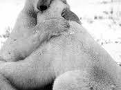 ¡Feliz Valentín! amar dicho!