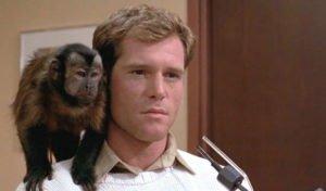 ¿Acaso no la has visto? #1