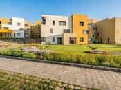 Naturaleza orgánica ciudad