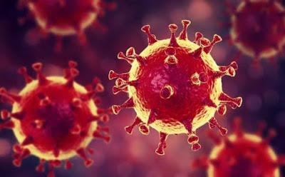 DESCARTAN CASOS DE CORONAVIRUS EN EL EDOMÉX