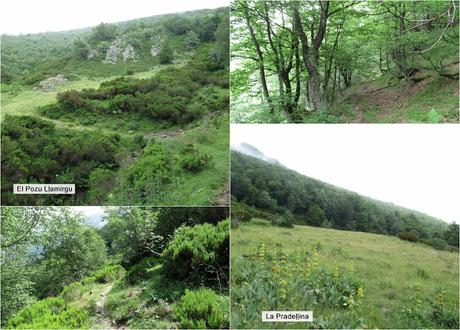 Pendilla-Ceyón-Las Glayas-Siirru Miriu-La Col.lá Propinde