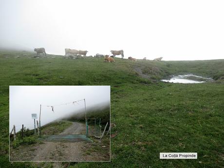 Pendilla-Ceyón-Las Glayas-Siirru Miriu-La Col.lá Propinde