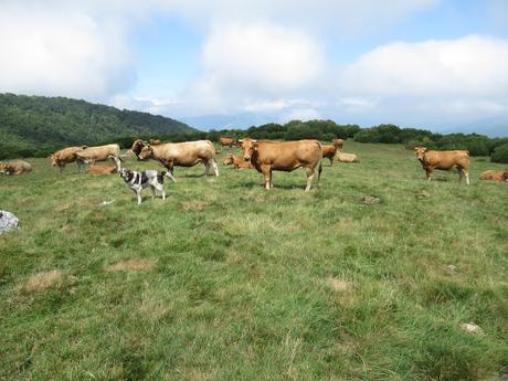 Pendilla-Ceyón-Las Glayas-Siirru Miriu-La Col.lá Propinde