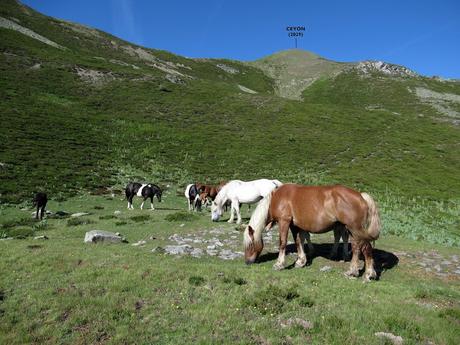 Pendilla-Ceyón-Las Glayas-Siirru Miriu-La Col.lá Propinde