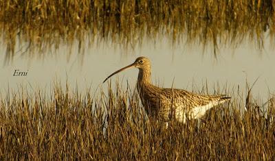 PASEANDO POR LA NATURALEZA