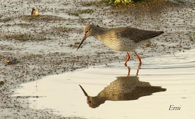 PASEANDO POR LA NATURALEZA