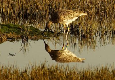 PASEANDO POR LA NATURALEZA