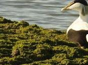 Paseando naturaleza