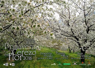 Cartel Oficial 2016 Primavera y Cerezo en Flor, Valle del Jerte Cartel Oficial 2016 Primavera y Cerezo en Flor, Valle del Jerte