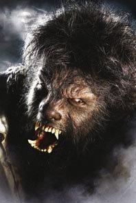 El Día de la Marmota en la República Dominicana