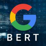 google bert actualizacion