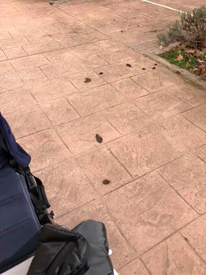 CRISIS DEL HOSPITAL, OLA DE ROBOS, FALTA DE MANTENIMIENTO Y PROBLEMAS CON AMBULANCIAS Y SERVICIOS DE URGENCIAS