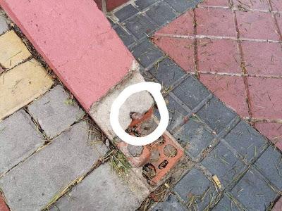 CRISIS DEL HOSPITAL, OLA DE ROBOS, FALTA DE MANTENIMIENTO Y PROBLEMAS CON AMBULANCIAS Y SERVICIOS DE URGENCIAS