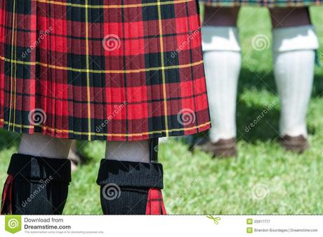 Falda Escocesa Roja